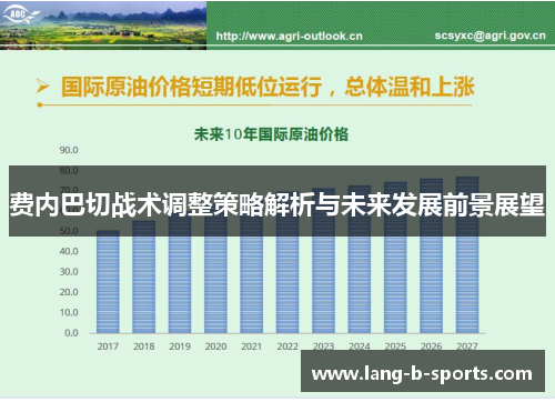 费内巴切战术调整策略解析与未来发展前景展望